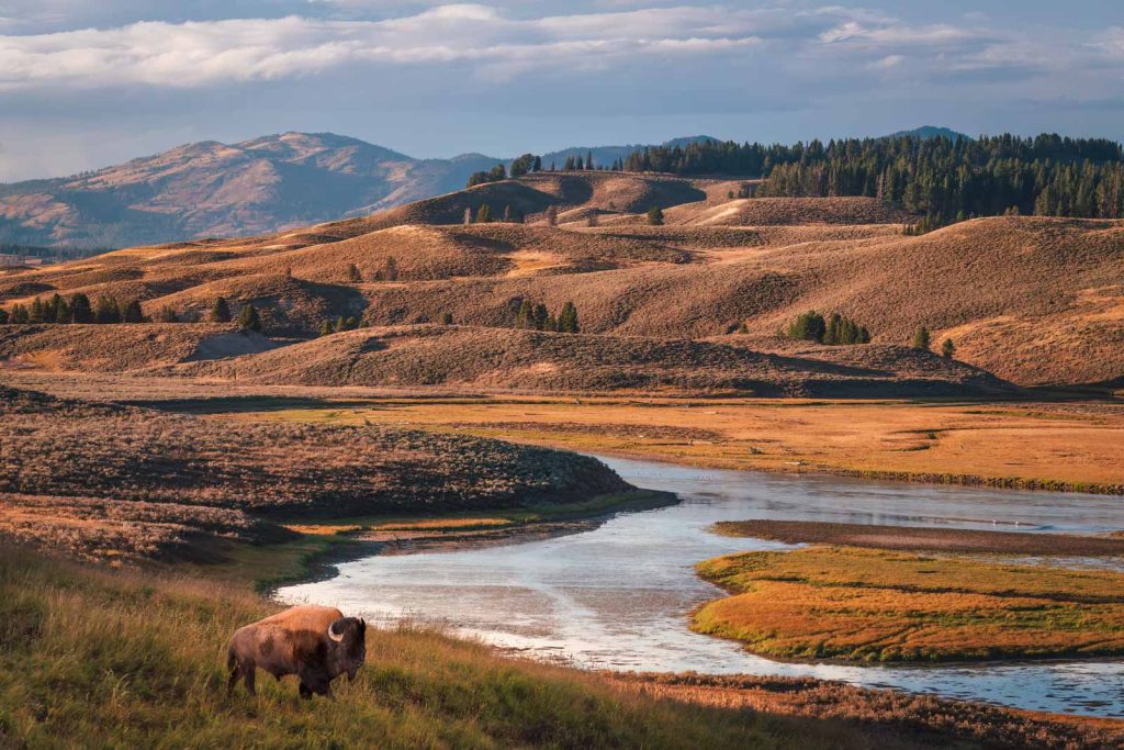 26 Best National Parks to Visit in the US (Our Favourites After 15 Years of Travel)