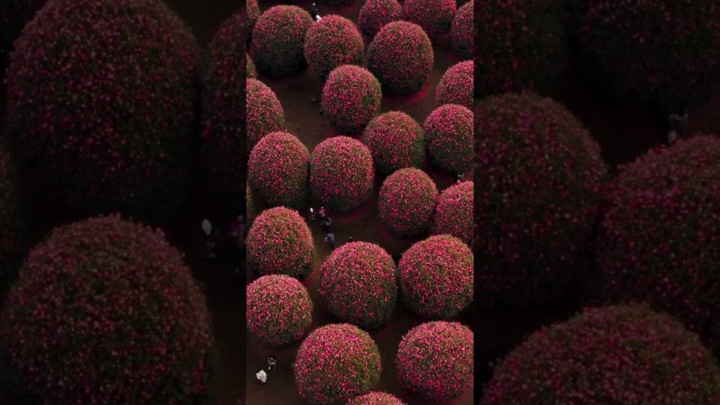 This Island Made the Top 50 Most Beautiful in the World 😍